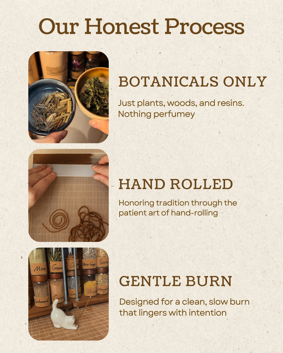 Desert Reset - Botanical Incense Sticks